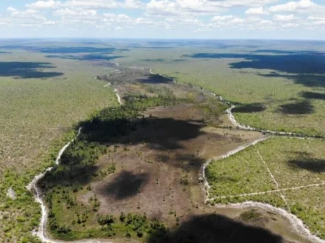 Suspeita de grilagem de 400 mil envolve SLC Agrcola e seus scios estrangeiros