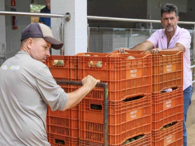 Emater doa produo de pequi para Banco de Alimentos