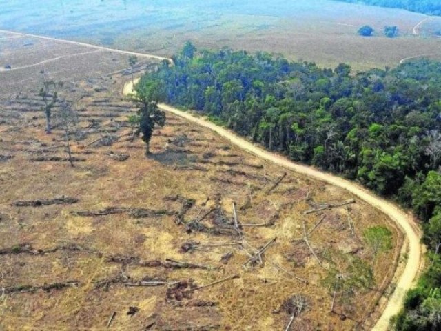 Agro  responsvel por 97% do desmatamento do pas nos ltimos 5 anos