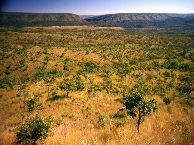 Seca no cerrado  a pior em sete sculos, aponta estudo