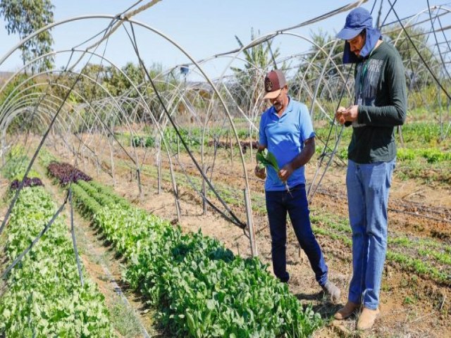 GDF impulsiona produo rural com qualificao e linhas de crdito