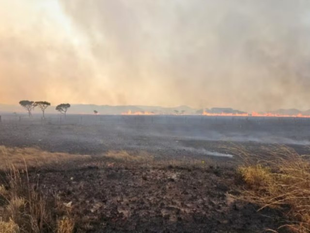 Punio para incndios  branda e fiscalizao esbarra em falta de estrutura, dizem especialistas