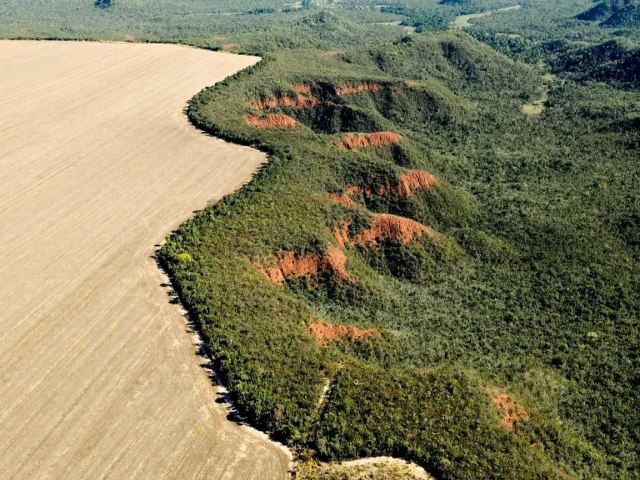 Em carta, cientistas alertam que fracasso na proteo do Cerrado leva a perdas irreversveis para o agronegcio