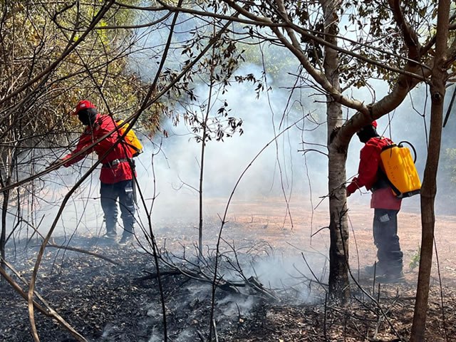 Brigada do Crato combate incndio em cenrio simulado na Chapada do Araripe