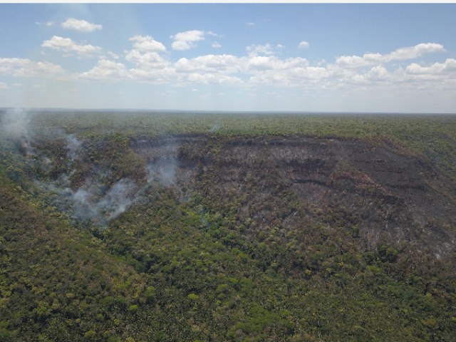 Prefeitura do Crato, ICMBio e Corpo de Bombeiros somam esforos para debelar fogo na Flona Araripe