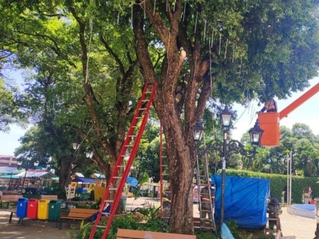 Decorao para o Natal do Crato traz novidades este ano