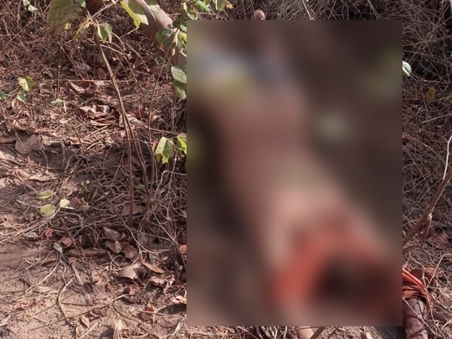 Homem  encontrado morto em matagal no distrito de Ponta da Serra, em Crato