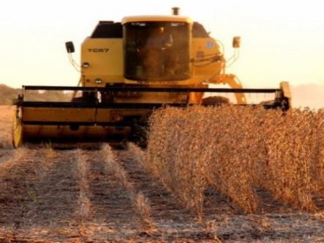 Mato Grosso do Sul: entra em vigor o vazio sanitrio da soja