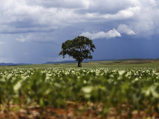 Mudanas climticas podem afetar agronegcio a longo prazo