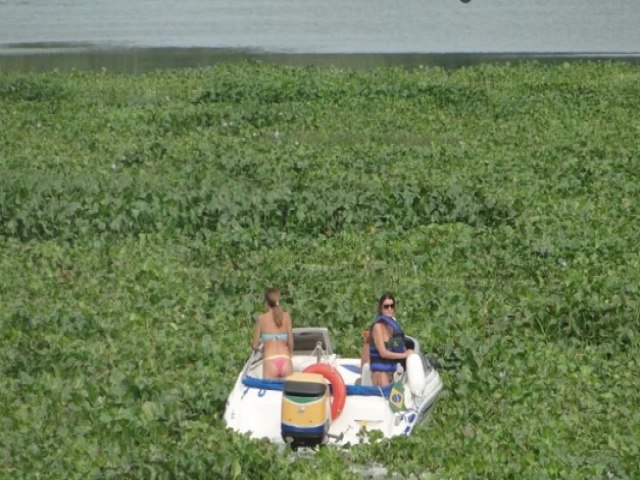 Algas cobrem Rio Tiet e impedem navegao, turismo e pesca no interior de SP