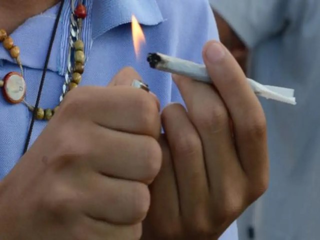 Mesmo em pequenas quantidades, maconha pode ser nociva para sade e problema de segurana pblica