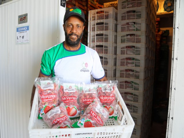 Unidade de beneficiamento de frutas vermelhas amplia renda da agricultura familiar em Mucugê Unidade de beneficiamento de frutas vermelhas amplia renda da agricultura familiar em Mucugê