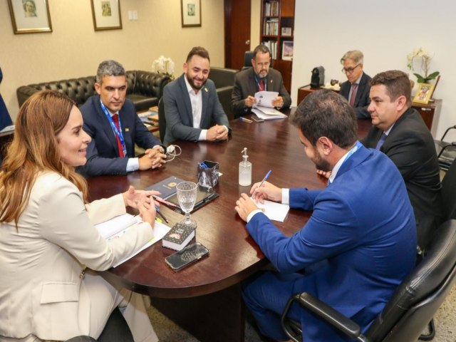 A senadora Daniella Ribeiro se rene em Braslia com prefeitos da Paraba.