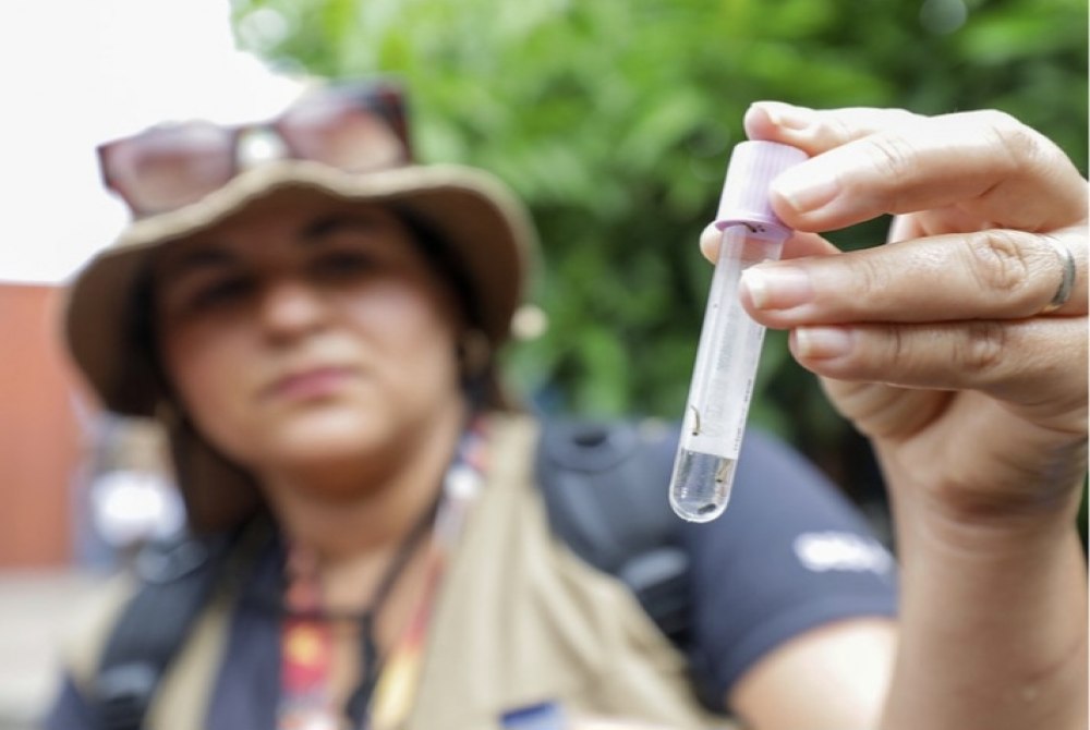 DF registrou redu��o de 96% nos casos prov�veis de dengue em 2025