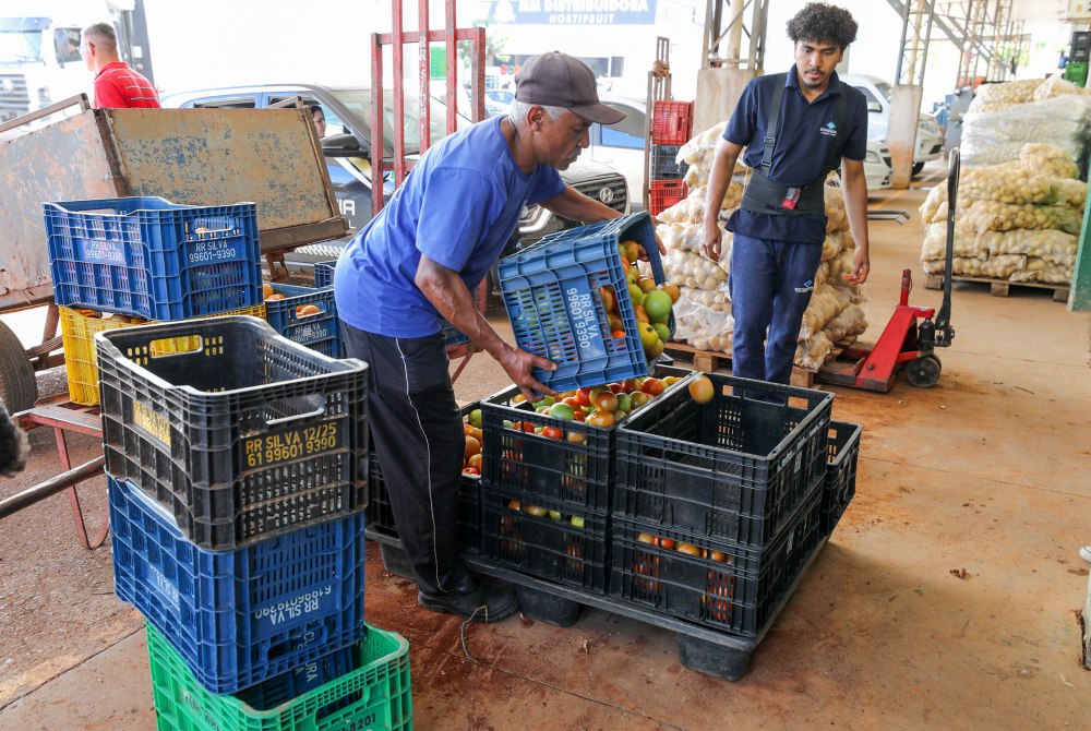 Programa Desperd�cio Zero da Ceasa-DF destina 96,2 mil kg de alimentos a 57 entidades nos primeiros tr�s meses de 2026