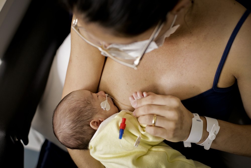 Leite materno refor�a defesas do organismo e reduz riscos de infec��es respirat�rias