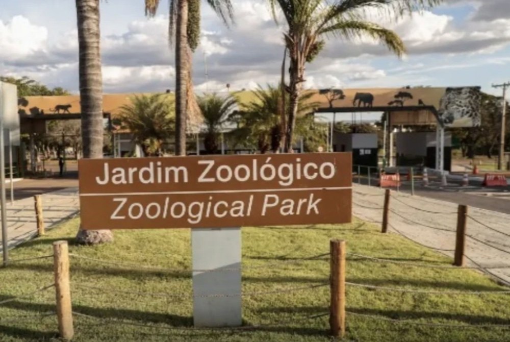 Zoológico de Brasília terá experiência imersiva no Corpus Christi Zoológico de Brasília terá experiência imersiva no Corpus Christi