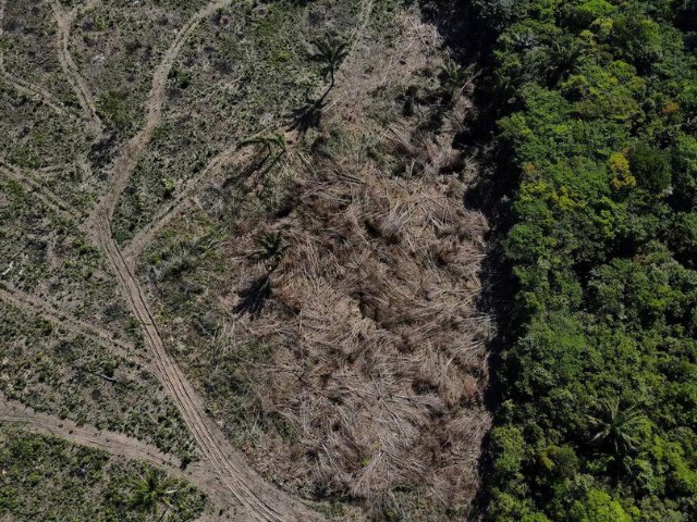 Desmatamento em reas protegidas na Amaznia, como terras indgenas, tem a menor taxa em 9 anos, aponta Imazon