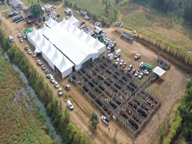 Feira Agropecuria de Tubaro deve gerar 400 vendas de animais e R$ 4 milhes em negcios