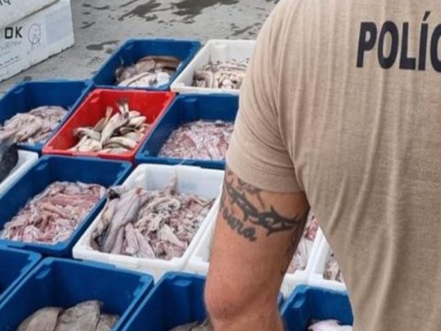 PMA de Laguna apreende mais de 600 quilos de pescado