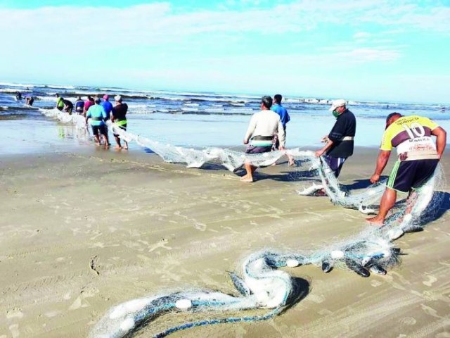 Pesca tem reviravolta: pescadores capturam 35 toneladas de tainha em 3 dias