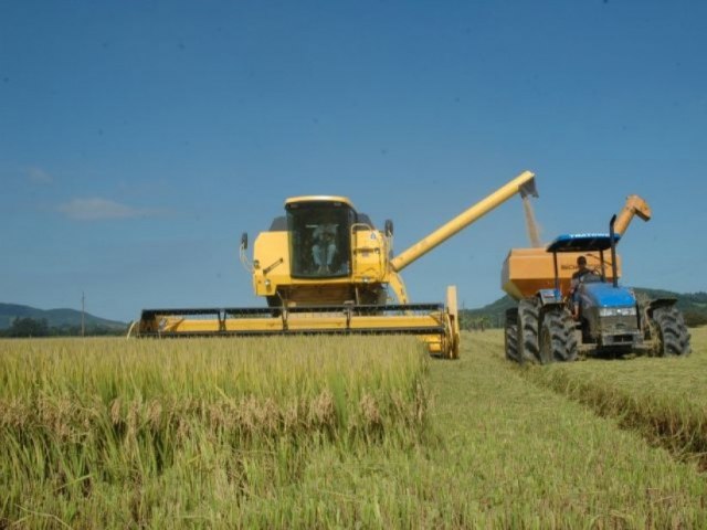 Safra de arroz bate recorde em Santa Catarina