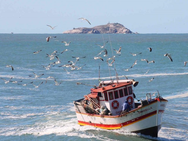 Criticado por pescadores, governo federal quer discutir cotas da tainha antes da nova safra