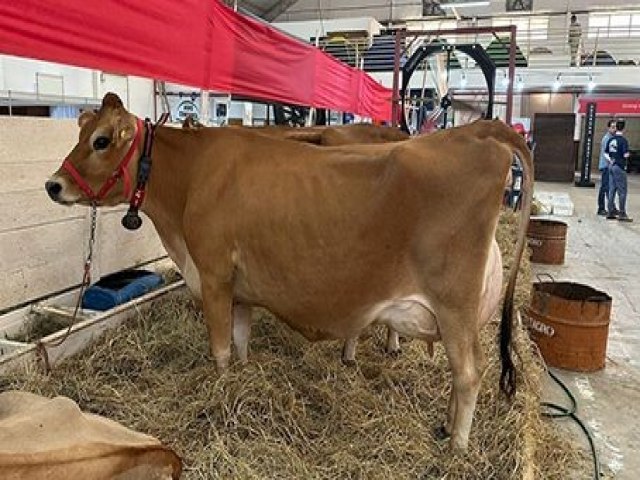 Brao do Norte: Feagro em iniciou na quinta-feira 