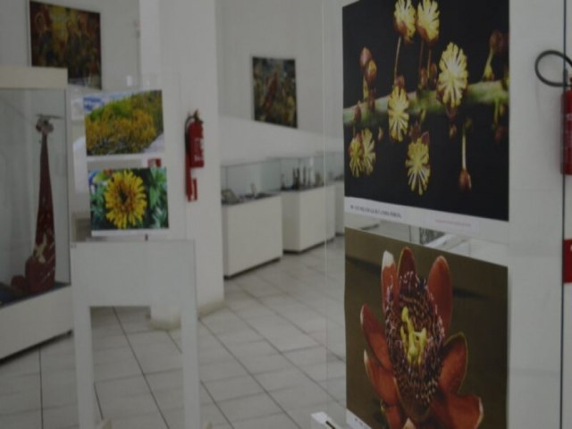 Tubaro recebe a mostra 'Flores Exticas' a partir de segunda-feira