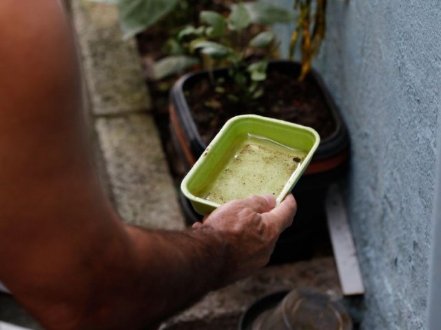 Santa Catarina  o estado do Brasil com mais mortes por dengue em 2023