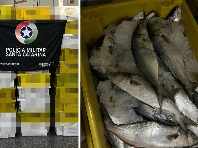 PM Ambiental apreende meia tonelada de pescado irregular