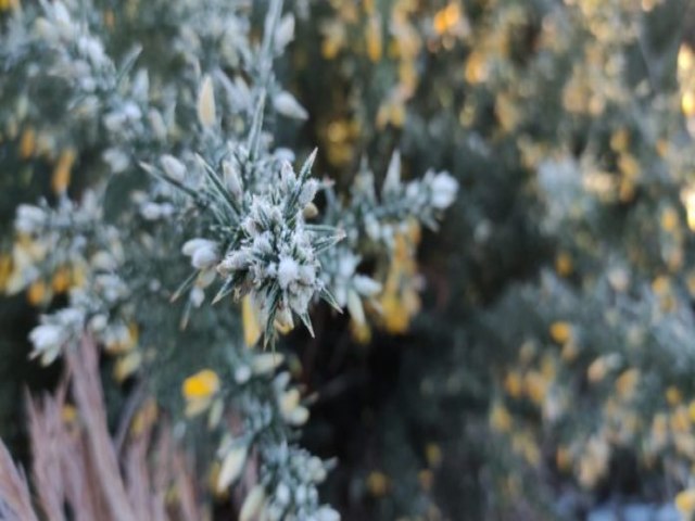 Serra marca -3,6C e amanhece coberta de geada