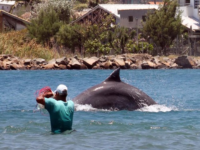 Livro que trata dos botos-pescadores ser lanado amanh