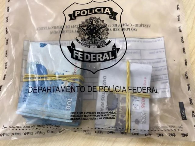 PF deflagra operao contra pirmide financeira em SC