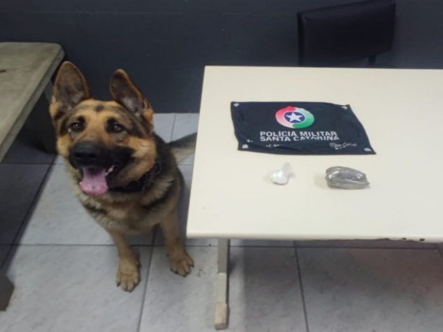 Traficante foge, mas acaba com drogas apreendidas pela PM