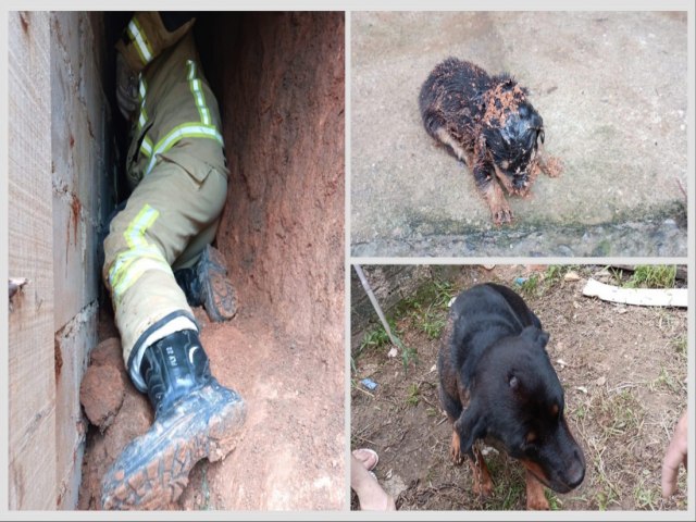 Bombeiros resgatam ces presos entre parede e barranco