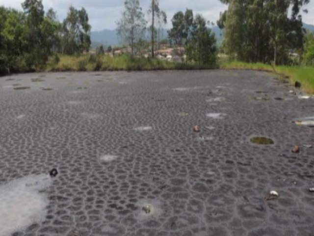 Lagoa de leo no bairro Ilhotinha em Capivari de Baixo