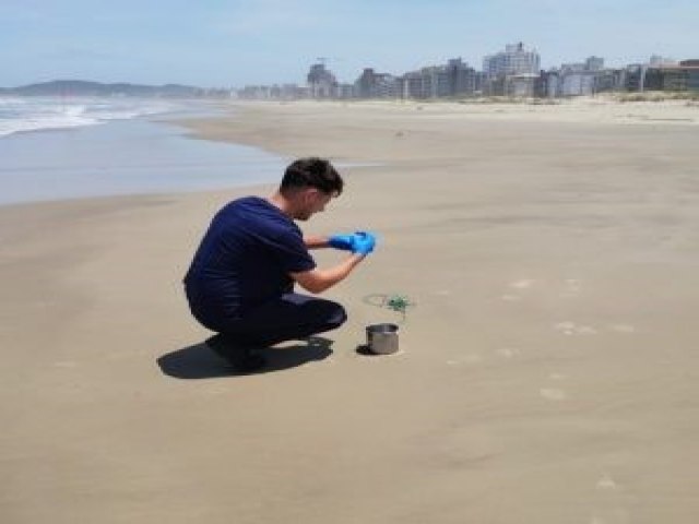 Laguna busca Bandeira Azul para praias da Tereza e Mar Grosso