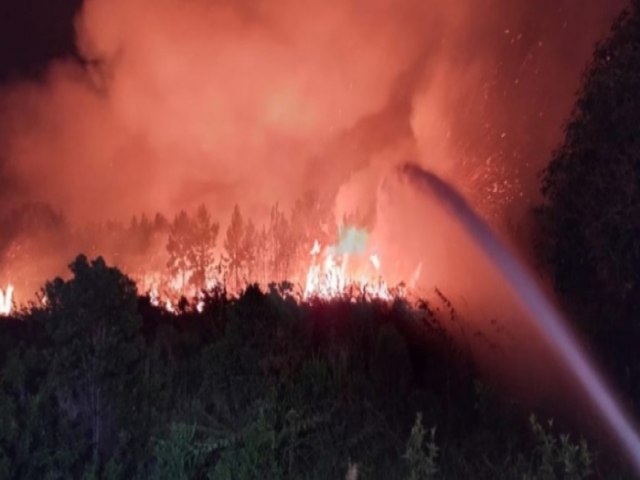 Incndio no Parque da Serra do Tabuleiro, em Palhoa, assusta moradores