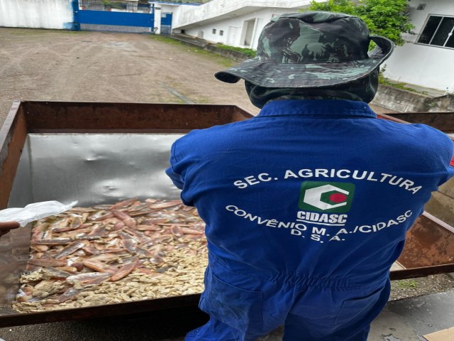 Fiscalizao apreende 6,5 toneladas de pescado em estabelecimento clandestino, em Laguna