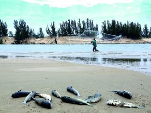 Pescadores tm at 25 de maro para solicitar o defeso