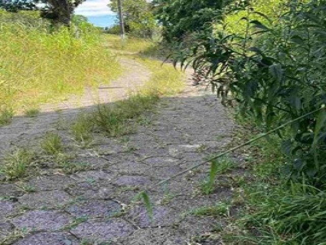 Morro da Glria: mato e abandono dominam carto-postal da cidade