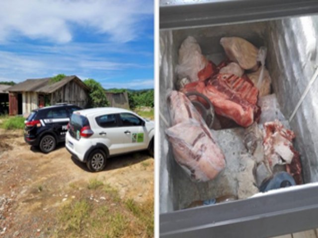 Operao contra abatedouros clandestinos apreende carnes na regio