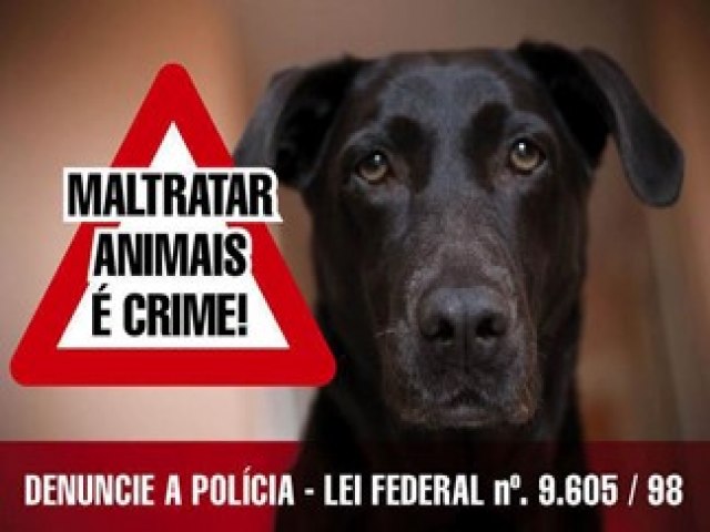 Inquritos so concludos e cinco so indiciados por maus-tratos contra animais