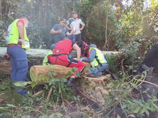 Queda de rvore em plantao deixa homem gravemente ferido