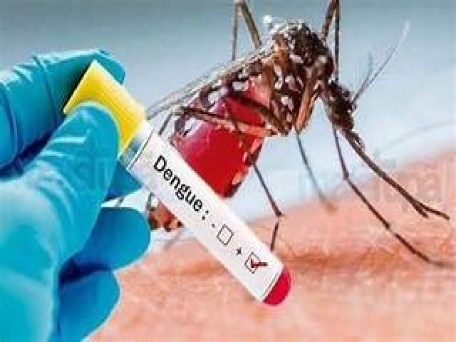 Mortes recentes na regio esto sendo investigadas como suspeitas de dengue