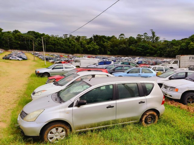 Veculos apreendidos na Amurel vo a leilo no dia 15 