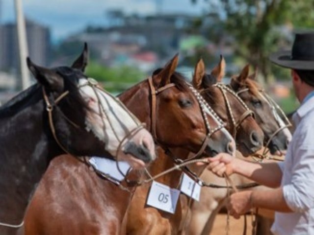 So Ludgero recebe a primeira Exposio Passaporte do Cavalo Crioulo