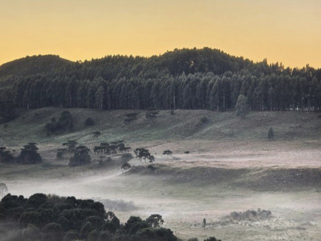 SC tem geada e frio nesta quinta; Tubaro amanhece com 12 graus