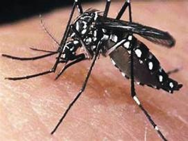 Nmeros de casos de dengue e focos do Aedes continuam a aumentar em Tubaro